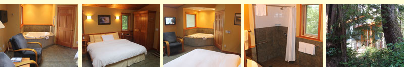 Forest View Queen Room Ferris